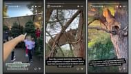 Kelly Stafford shares encounter with 'terrifying monster' at Hidden Hills (image credit: instagram/kbstafford89)